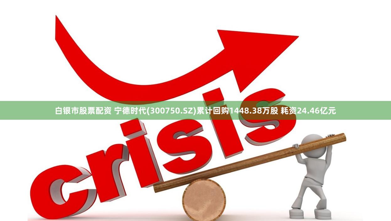 白银市股票配资 宁德时代(300750.SZ)累计回购1448.38万股 耗资24.46亿元