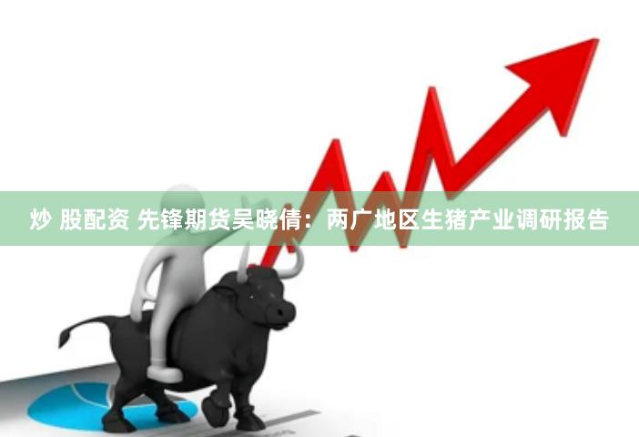 炒 股配资 先锋期货吴晓倩：两广地区生猪产业调研报告
