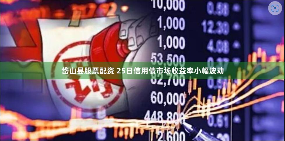 岱山县股票配资 25日信用债市场收益率小幅波动