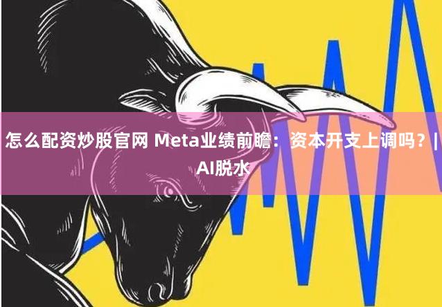 怎么配资炒股官网 Meta业绩前瞻：资本开支上调吗？| AI脱水