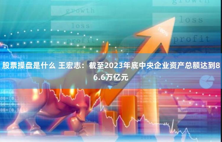 股票操盘是什么 王宏志：截至2023年底中央企业资产总额达到86.6万亿元