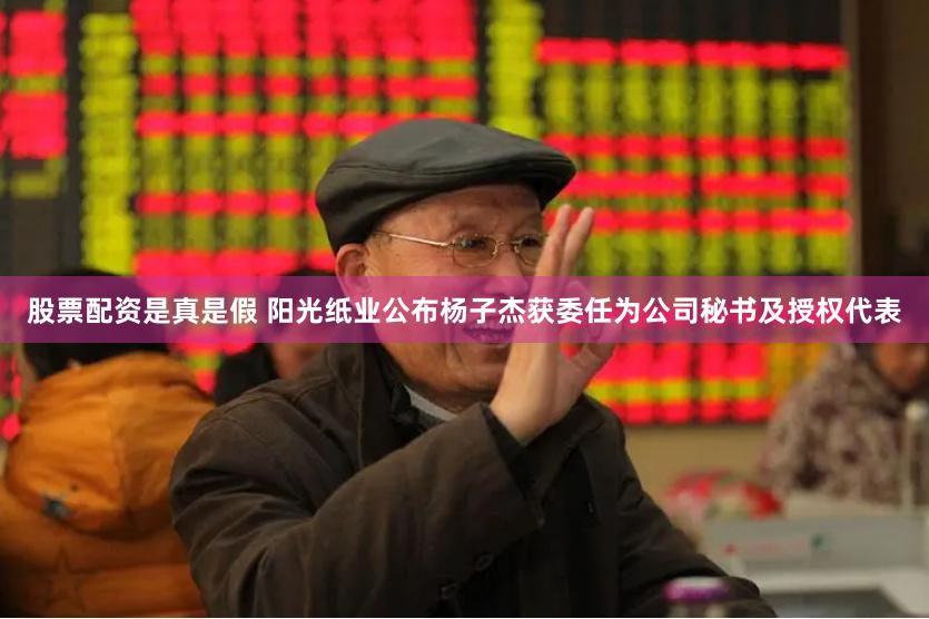 股票配资是真是假 阳光纸业公布杨子杰获委任为公司秘书及授权代表