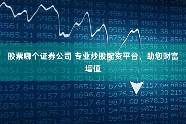 股票哪个证券公司 专业炒股配资平台，助您财富增值